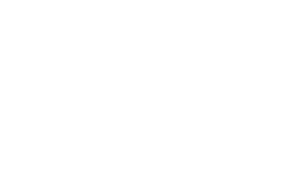LarBis Peru